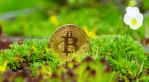 Green Cryptocurrencies and Sustainable Blockchain Projects