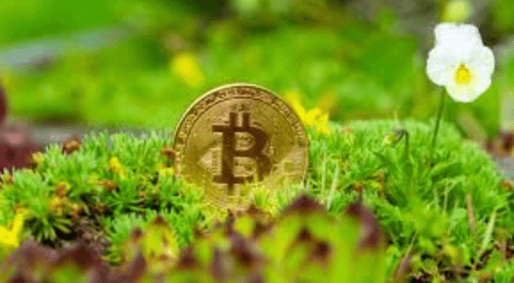 Green Cryptocurrencies and Sustainable Blockchain Projects